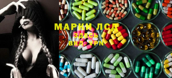 прущие грибы Кирсанов