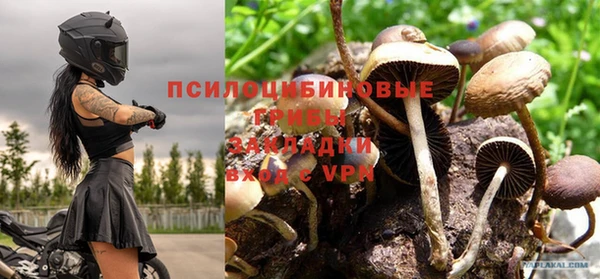 кокс Шадринск