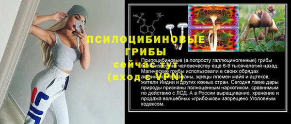 эйфоретик Туринск