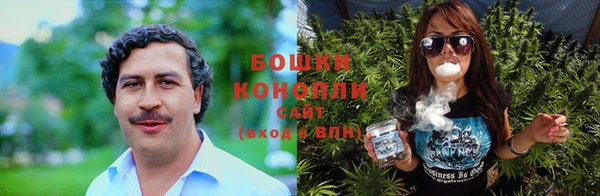 сатива Яровое