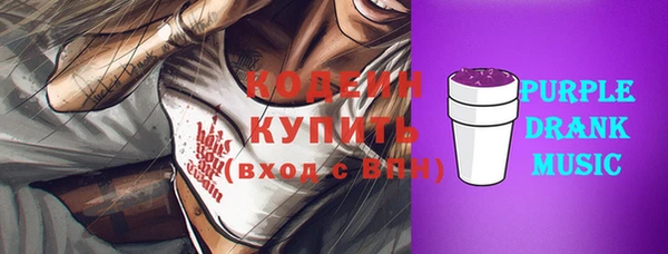 прущие грибы Кирсанов