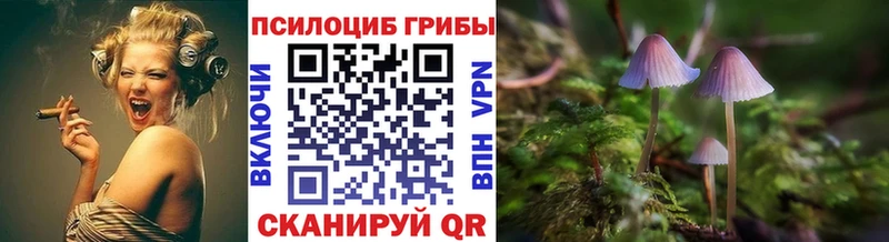 Галлюциногенные грибы мицелий  где продают   Костерёво 